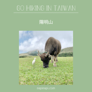 台湾台北で山登り【陽明山】がおすすめ！実際に行った行き方やルートも紹介します